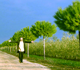 オリーブオイルが飲める理由4